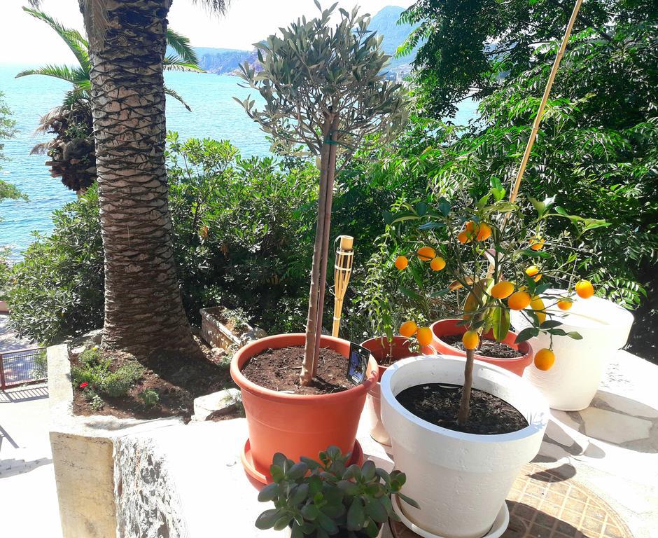 Two Palms Apartment Sutomore Buitenkant foto